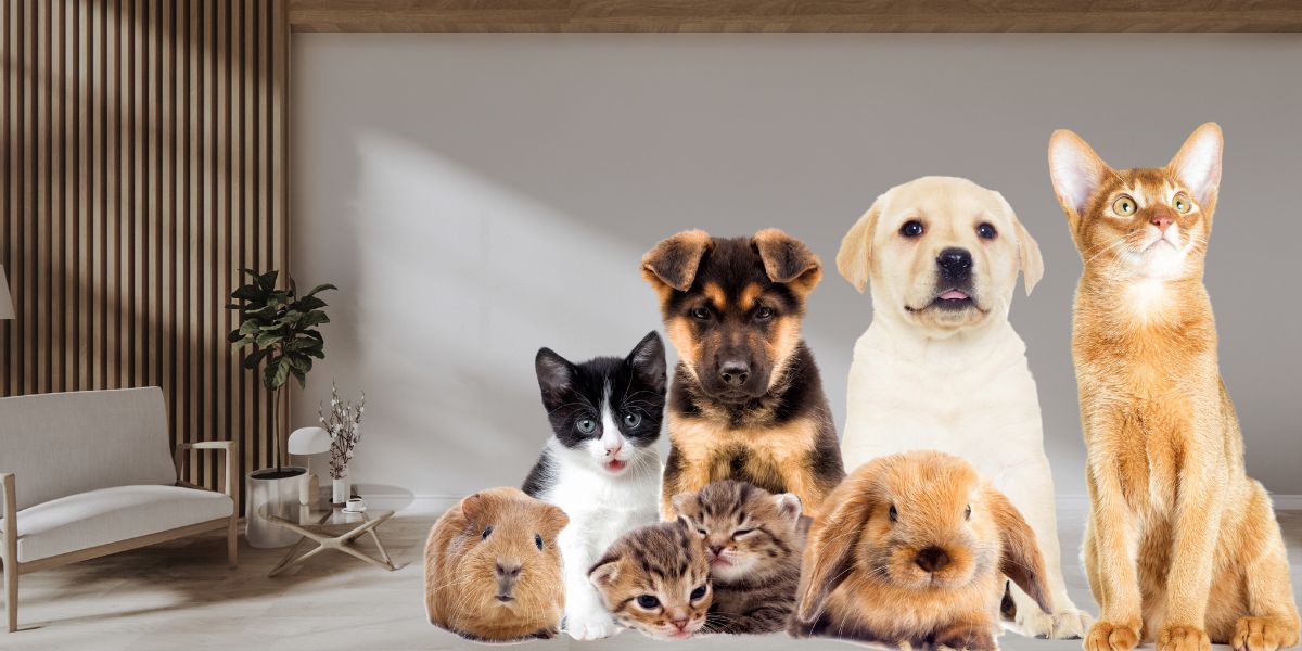 Animal Experts Believe Having Pets is LAFM